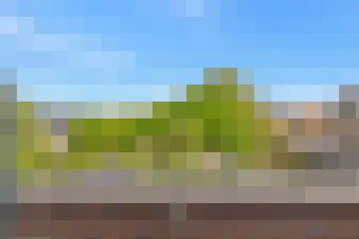 Trambaan 123 Nieuwe Niedorp thumbnail 24