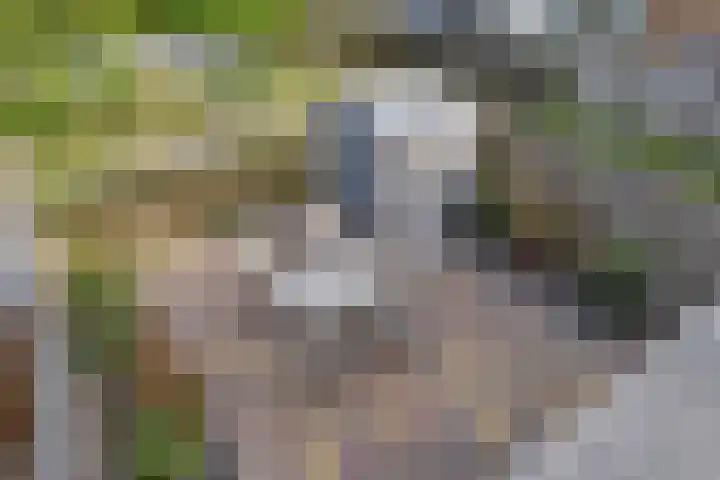 Trambaan 123 Nieuwe Niedorp thumbnail 36