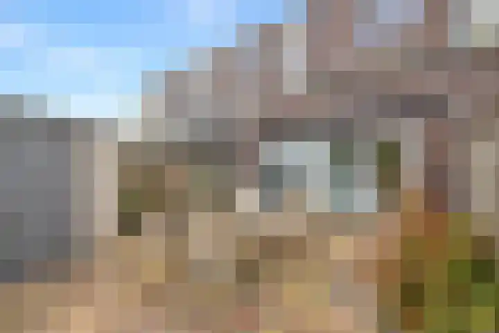 Trambaan 123 Nieuwe Niedorp thumbnail 37