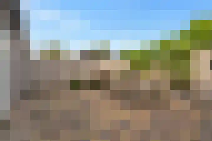 Trambaan 123 Nieuwe Niedorp thumbnail 38