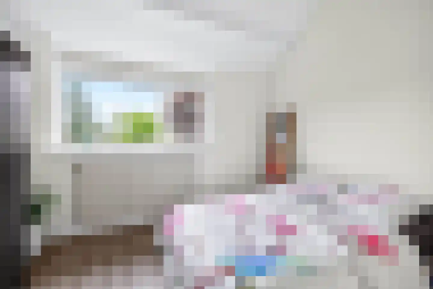 Trambaan 15 Woldendorp thumbnail 23