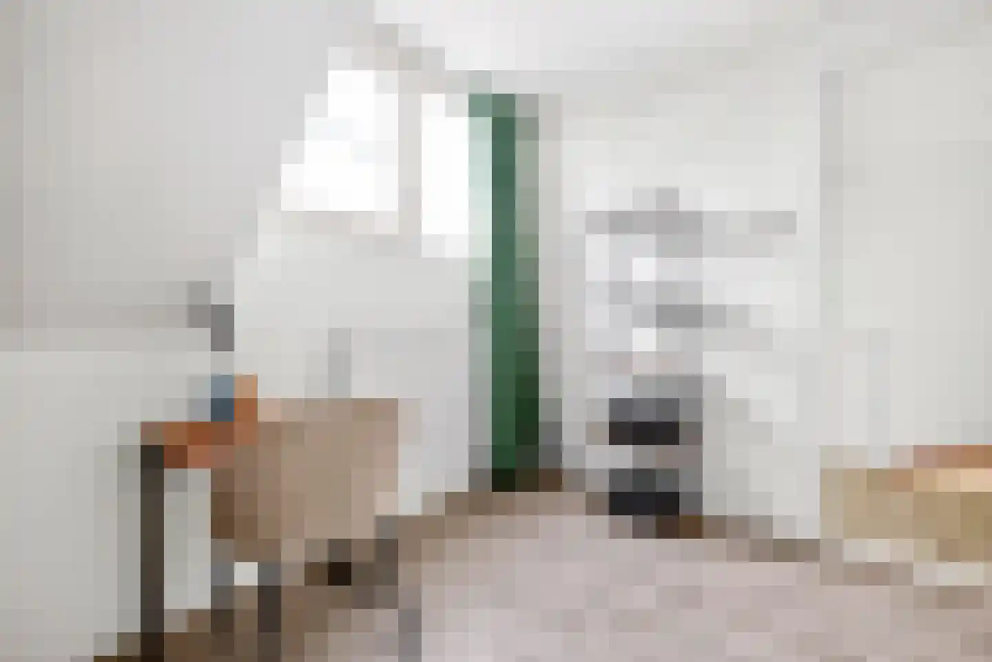 Trambaan 15 Woldendorp thumbnail 30