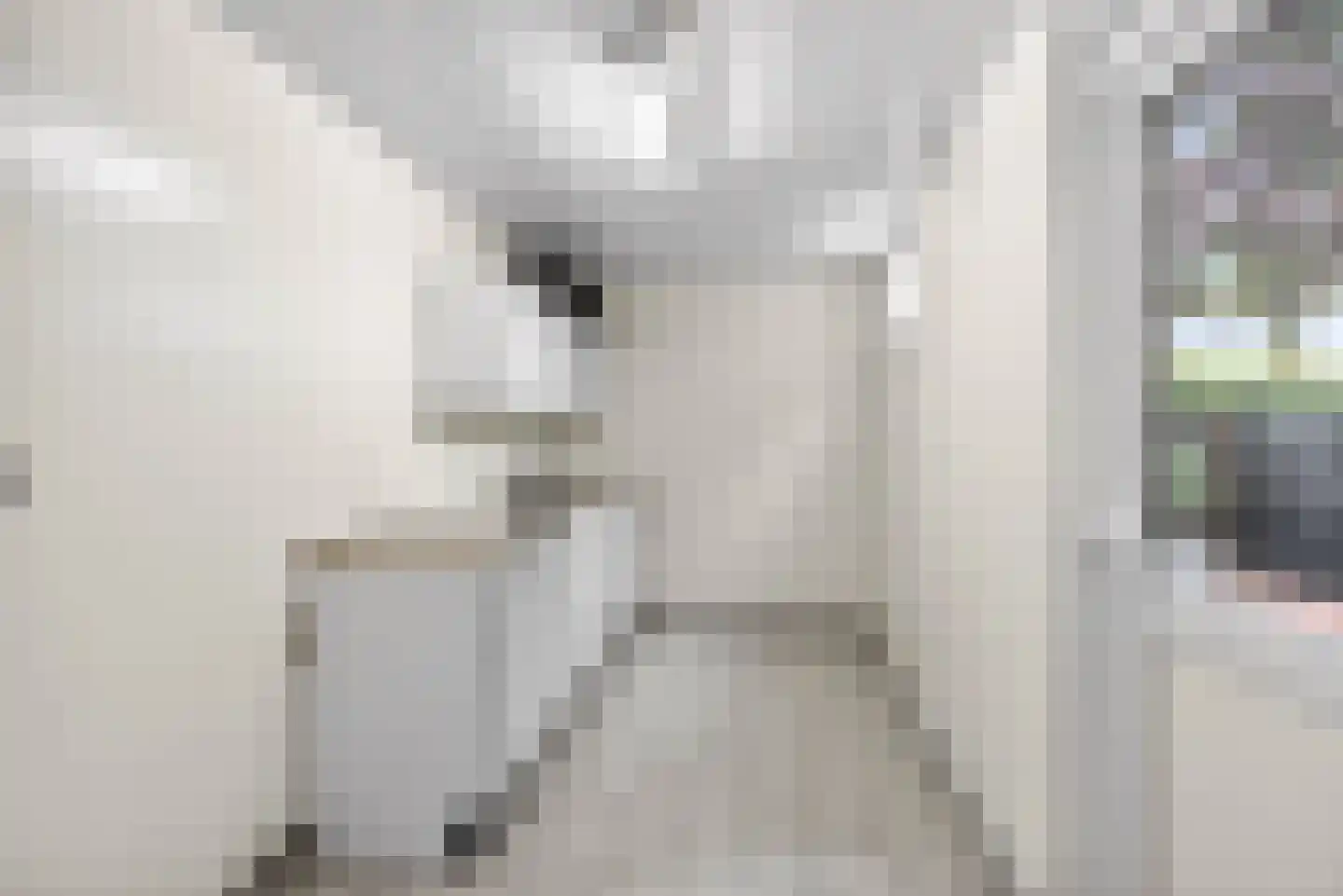Trambaan 15 Woldendorp thumbnail 31