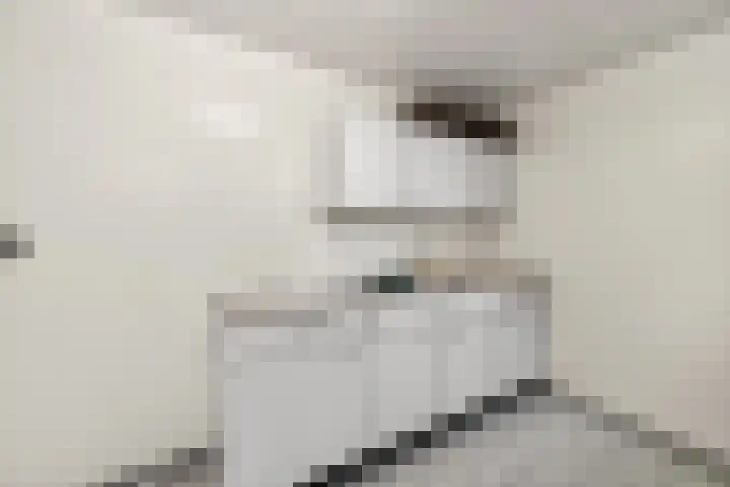 Trambaan 15 Woldendorp thumbnail 32