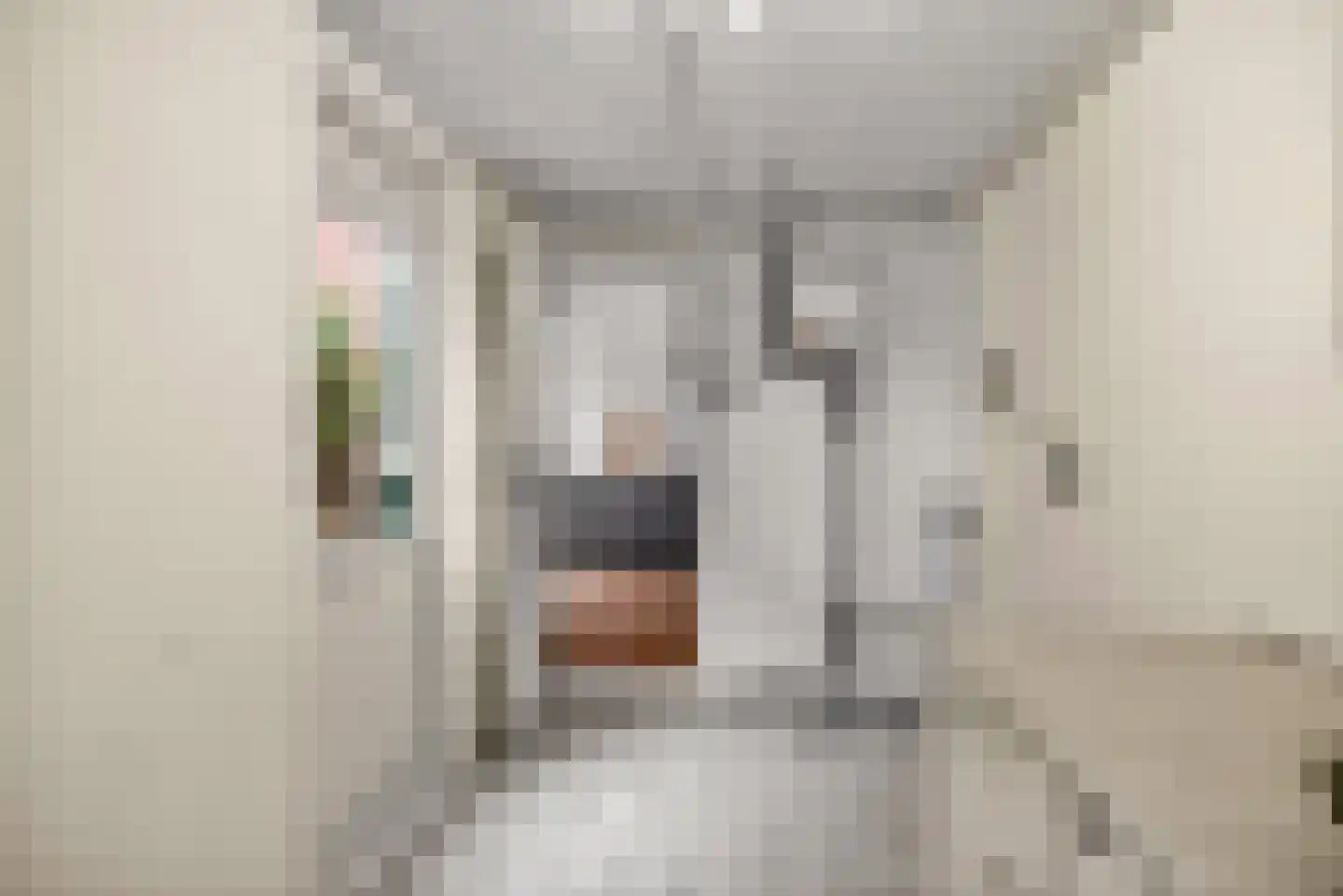 Trambaan 15 Woldendorp thumbnail 33
