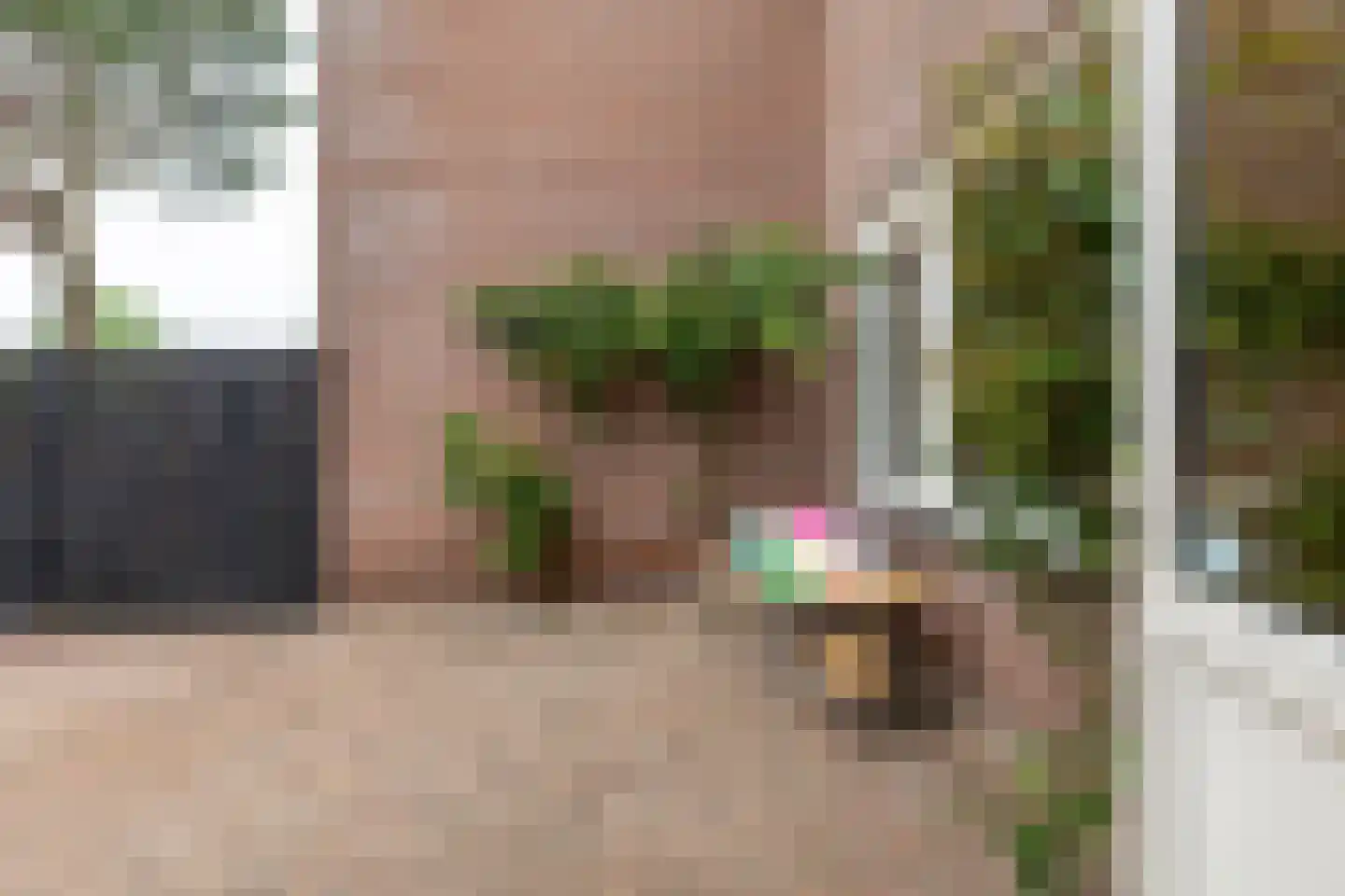 Trambaan 15 Woldendorp thumbnail 34