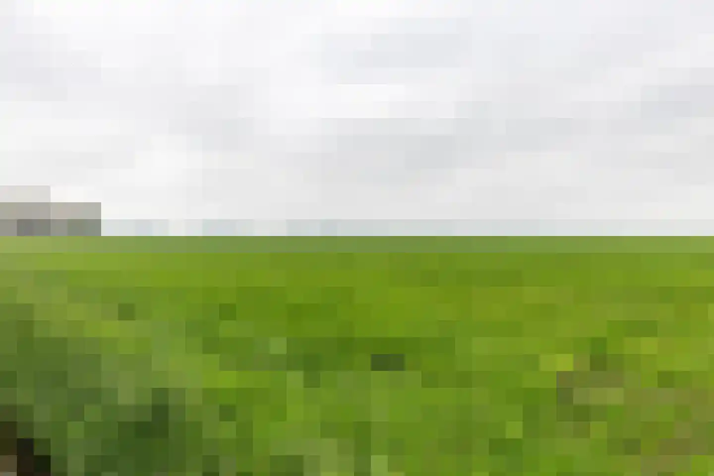 Trambaan 15 Woldendorp thumbnail 41