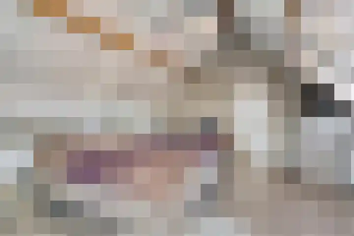 Trambaan 18 Helmond thumbnail 33