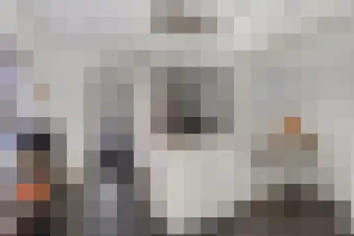 Trambaan 18 Helmond thumbnail 4