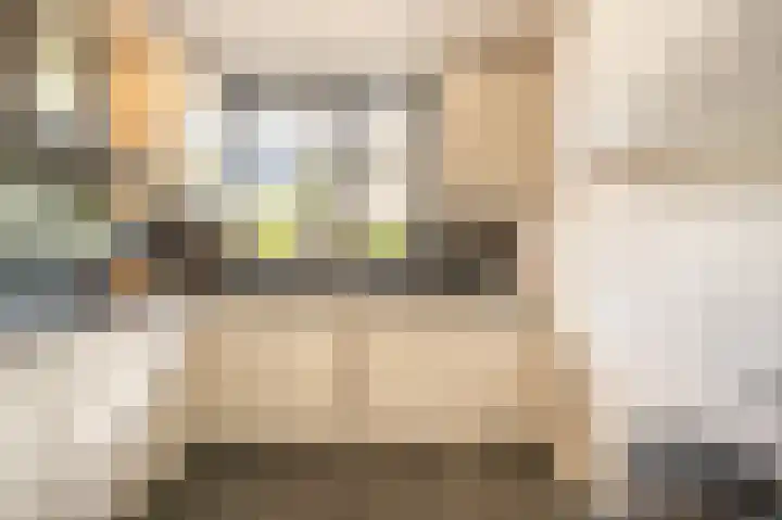 Trambaan 2 Maasdam thumbnail 10