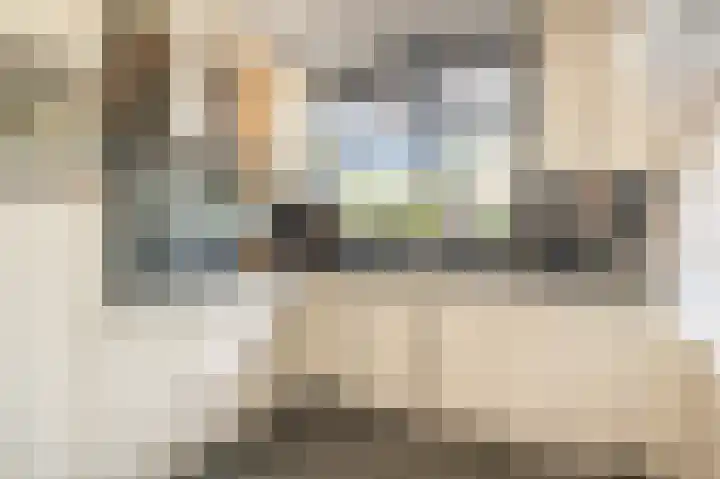 Trambaan 2 Maasdam thumbnail 11