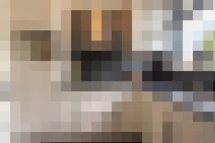 Trambaan 2 Maasdam thumbnail 12