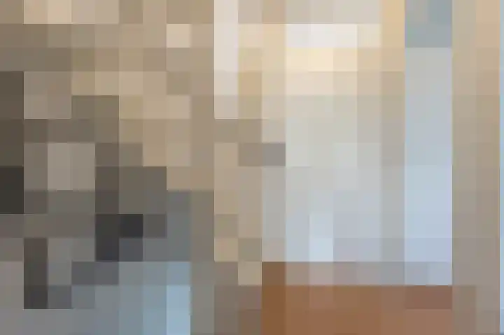 Trambaan 2 Maasdam thumbnail 14