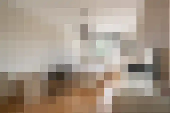 Trambaan 2 Maasdam thumbnail 15