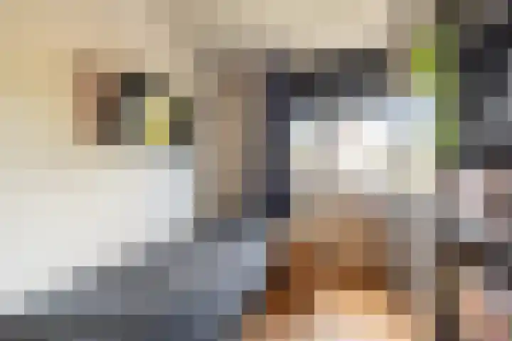 Trambaan 2 Maasdam thumbnail 19