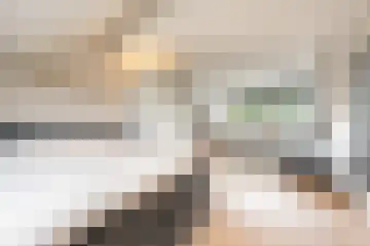 Trambaan 2 Maasdam thumbnail 26