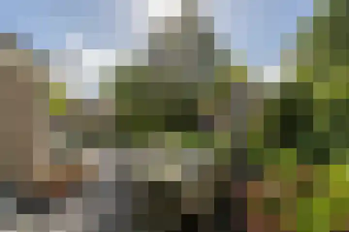 Trambaan 2 Maasdam thumbnail 30