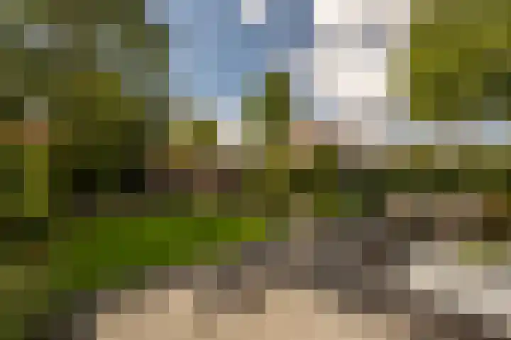 Trambaan 2 Maasdam thumbnail 31