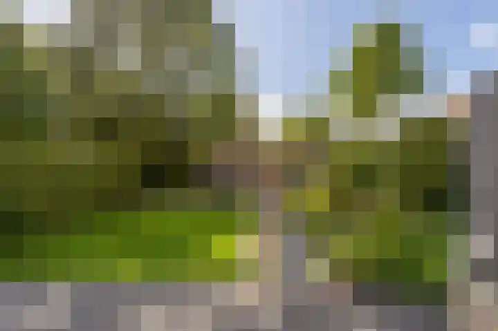 Trambaan 2 Maasdam thumbnail 32