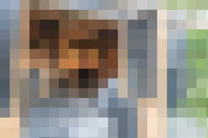 Trambaan 2 Maasdam thumbnail 33