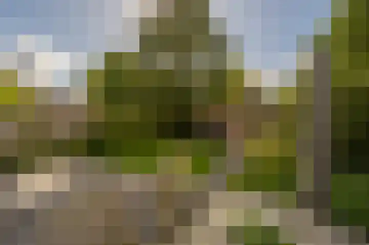Trambaan 2 Maasdam thumbnail 37