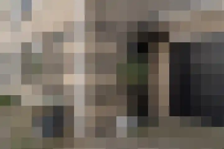 Trambaan 2 Maasdam thumbnail 38