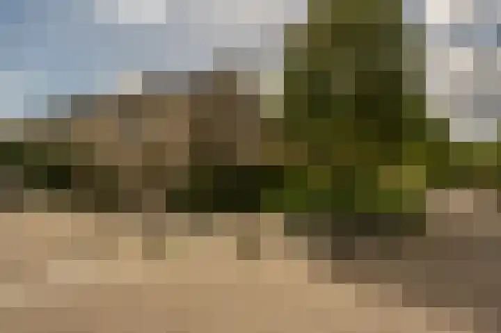 Trambaan 2 Maasdam thumbnail 39