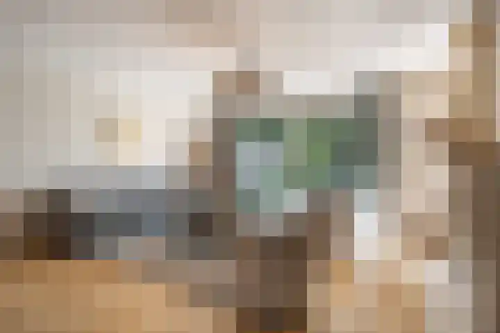 Trambaan 2 Maasdam thumbnail 4