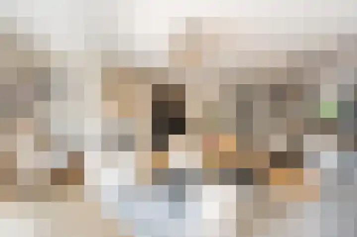 Trambaan 2 Maasdam thumbnail 5