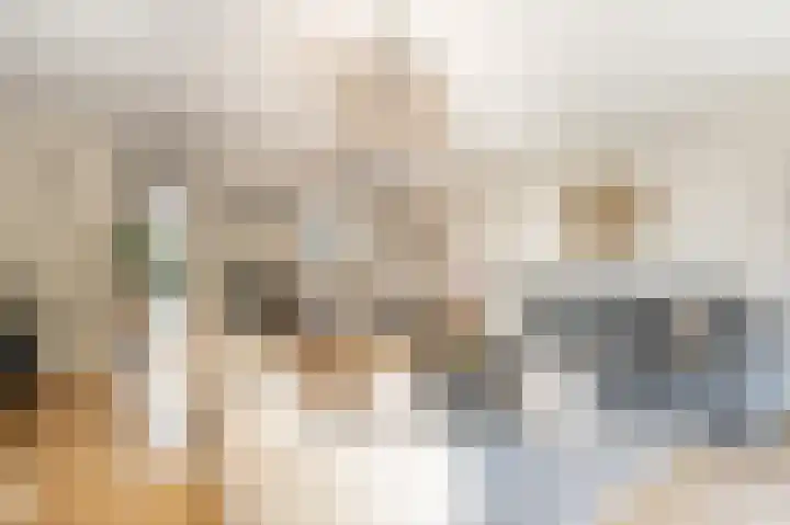 Trambaan 2 Maasdam thumbnail 6