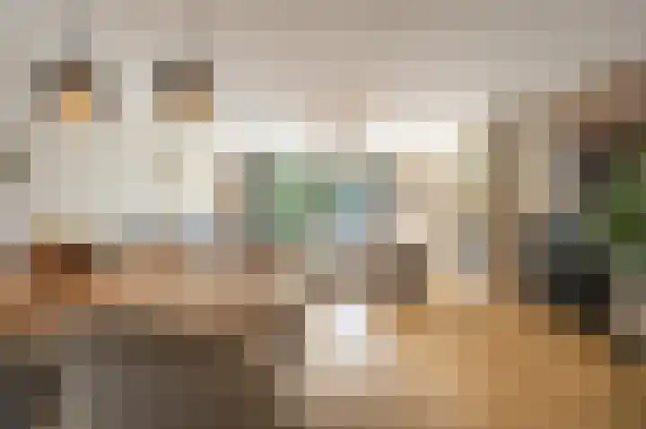 Trambaan 2 Maasdam thumbnail 9