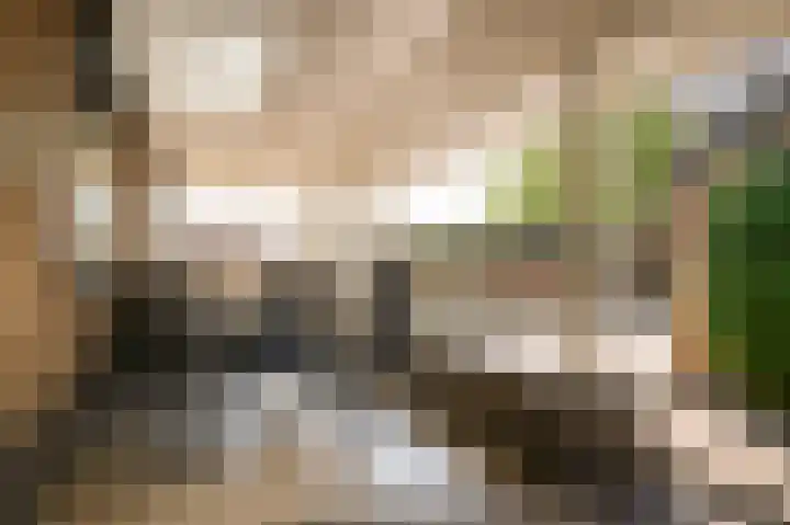 Trambaan 25 Boven-Leeuwen thumbnail 32