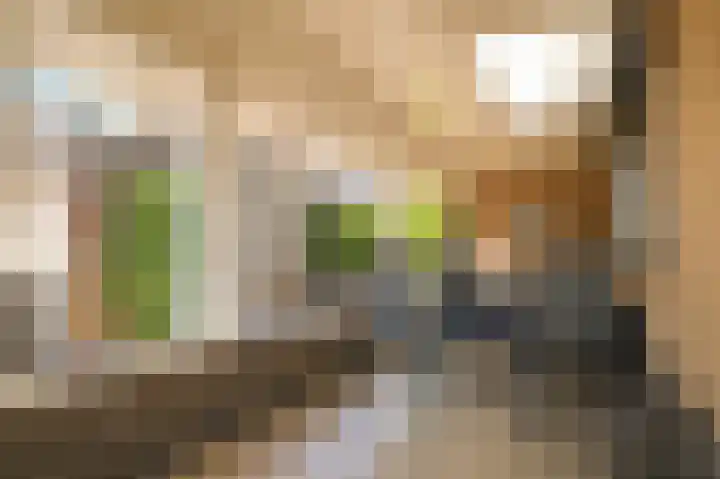 Trambaan 25 Boven-Leeuwen thumbnail 34