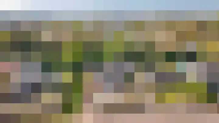 Trambaan 25 Boven-Leeuwen thumbnail 45