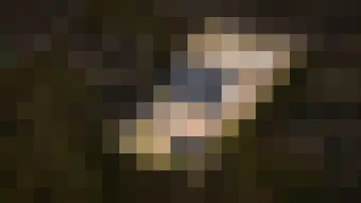 Trambaan 25 Boven-Leeuwen thumbnail 46
