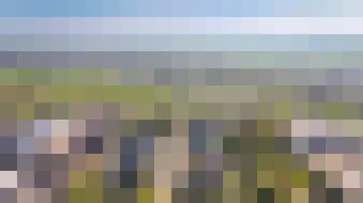 Trambaan 25 Boven-Leeuwen thumbnail 50