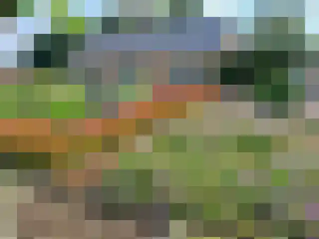 Trambaan 25 Boven-Leeuwen thumbnail 55