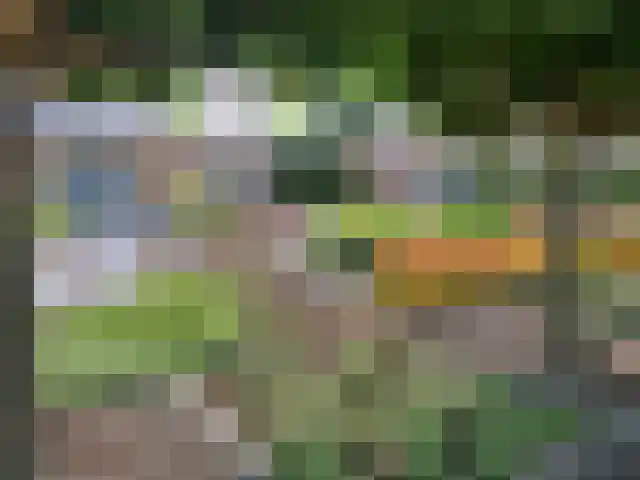 Trambaan 25 Boven-Leeuwen thumbnail 59