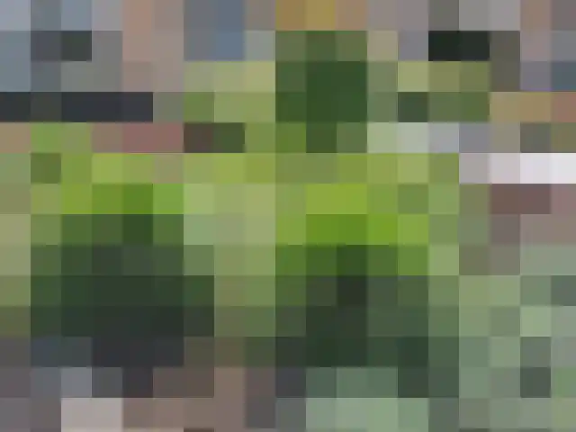 Trambaan 25 Boven-Leeuwen thumbnail 63