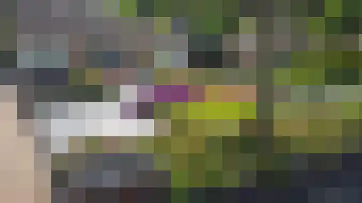 Trambaan 25 Boven-Leeuwen thumbnail 67