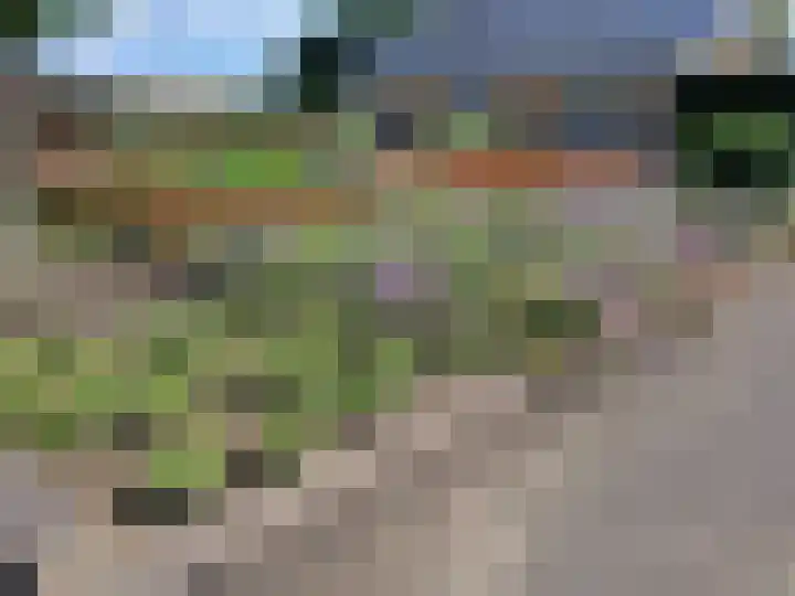 Trambaan 25 Boven-Leeuwen thumbnail 69
