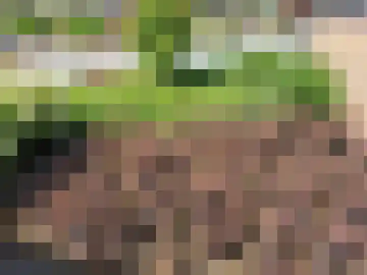 Trambaan 25 Boven-Leeuwen thumbnail 71