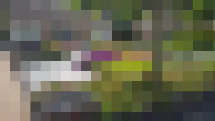 Trambaan 25 Boven-Leeuwen thumbnail 74