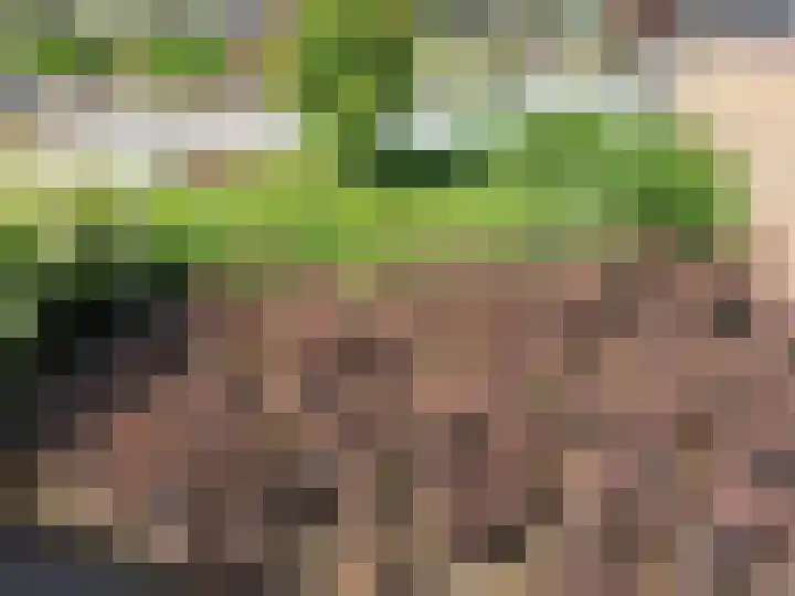 Trambaan 25 Boven-Leeuwen thumbnail 77