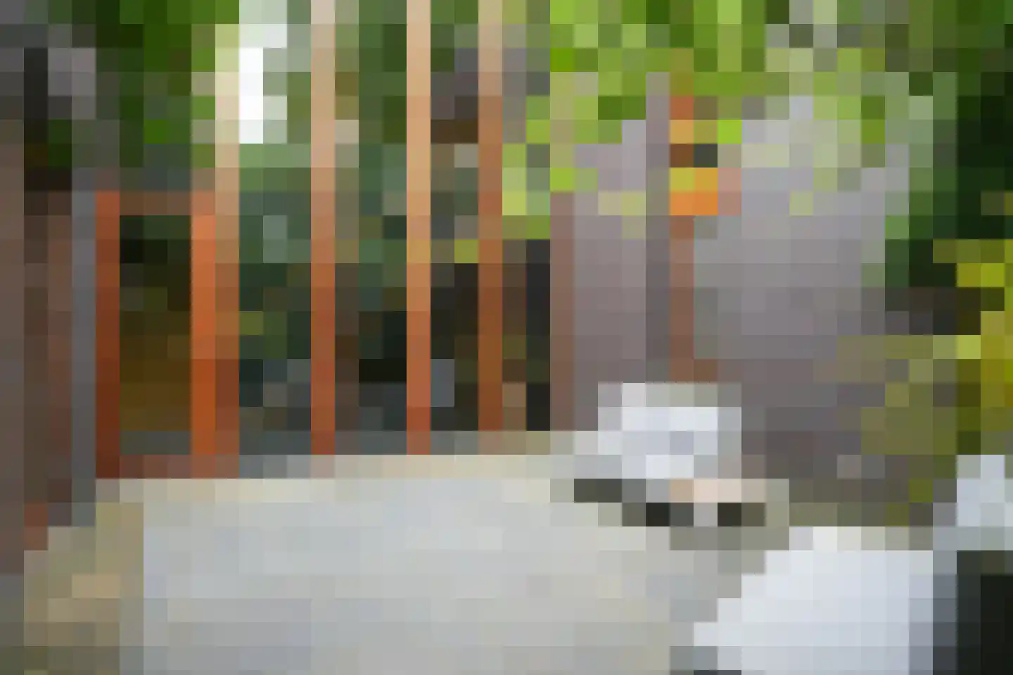 Trambaan 3 b Boven-Leeuwen thumbnail 31
