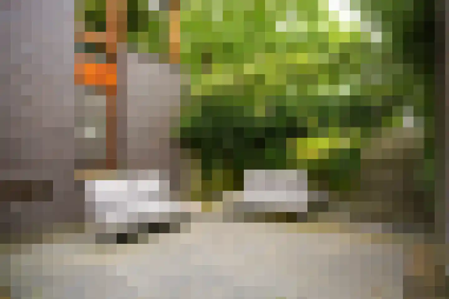 Trambaan 3 b Boven-Leeuwen thumbnail 32
