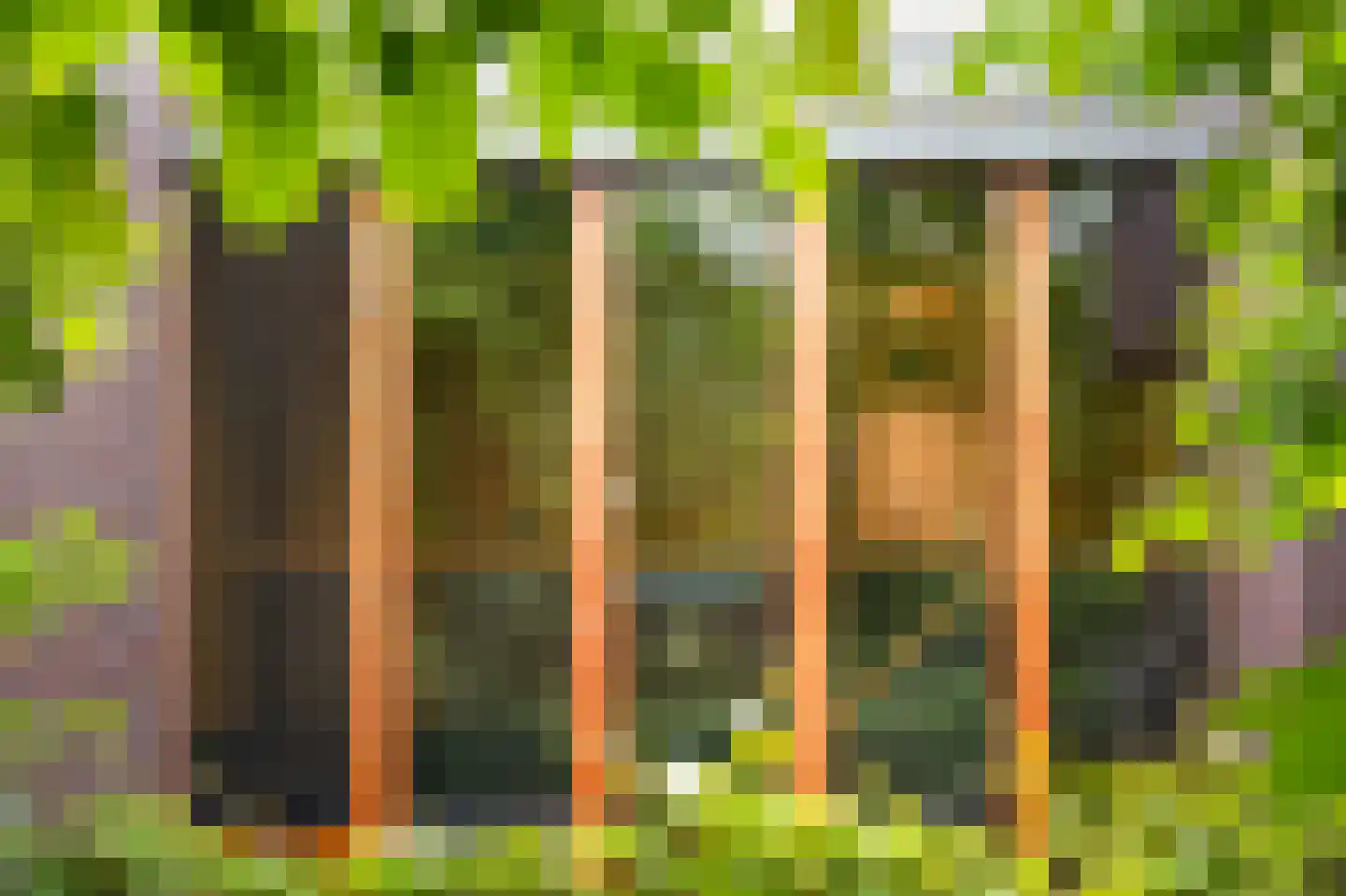 Trambaan 3 b Boven-Leeuwen thumbnail 35