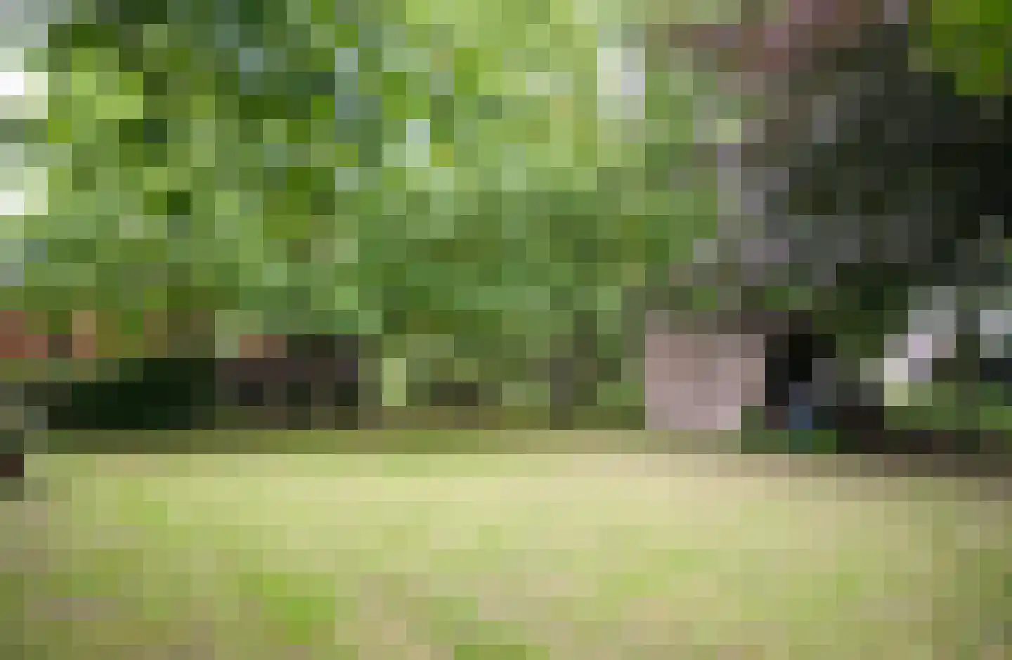 Trambaan 3 b Boven-Leeuwen thumbnail 39