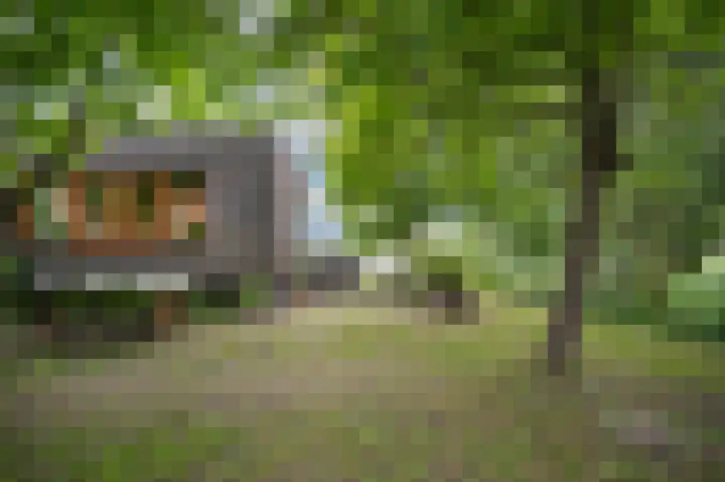 Trambaan 3 b Boven-Leeuwen thumbnail 40