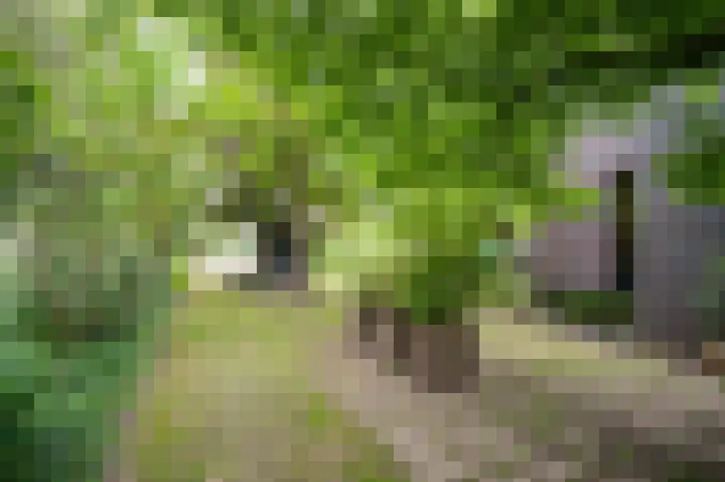 Trambaan 3 b Boven-Leeuwen thumbnail 41